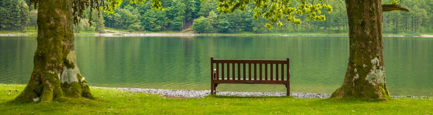 Arboricultural Software