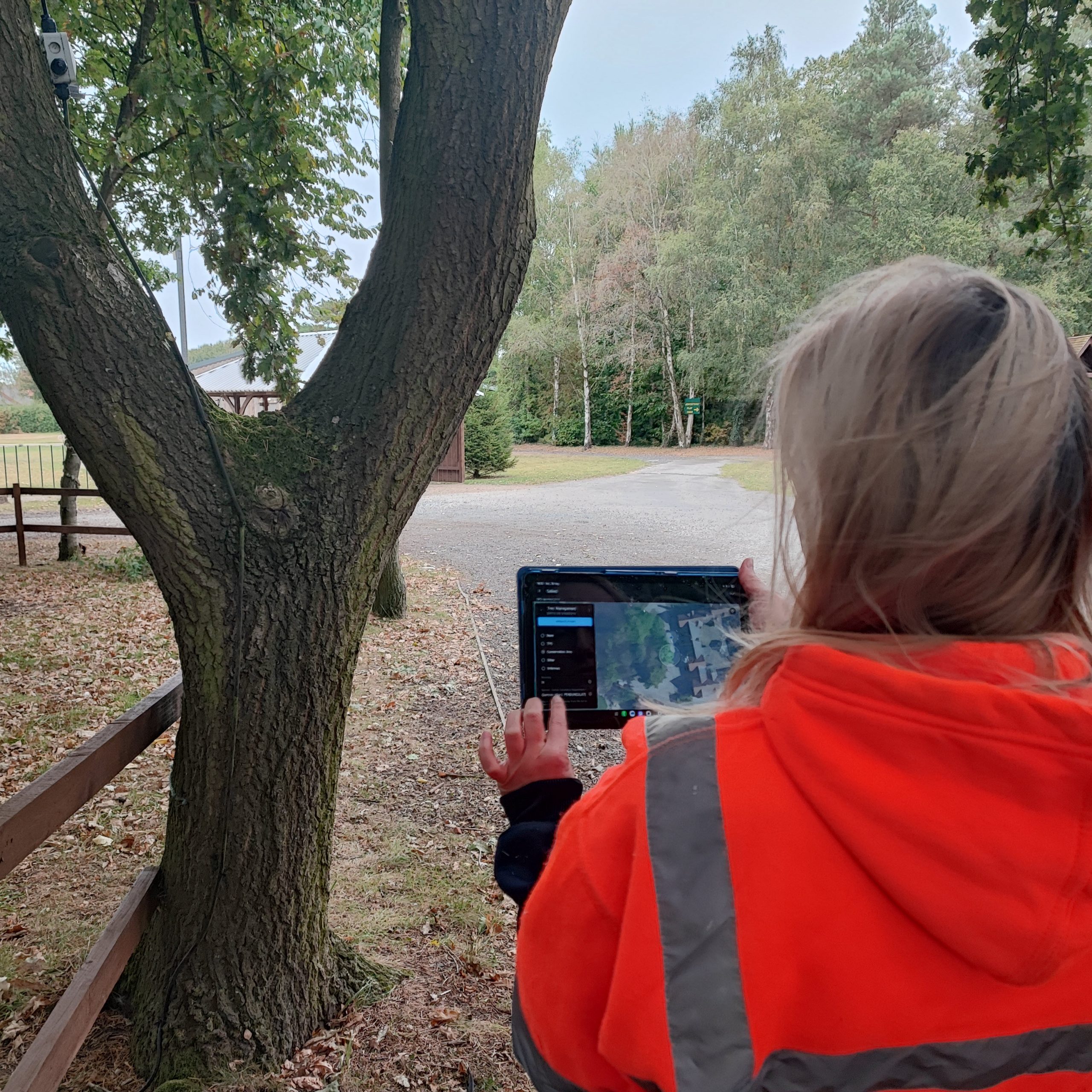 Arboricultural Software