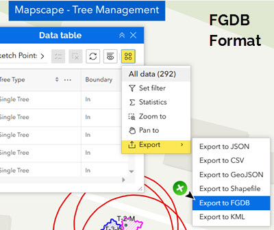 FGDB Format