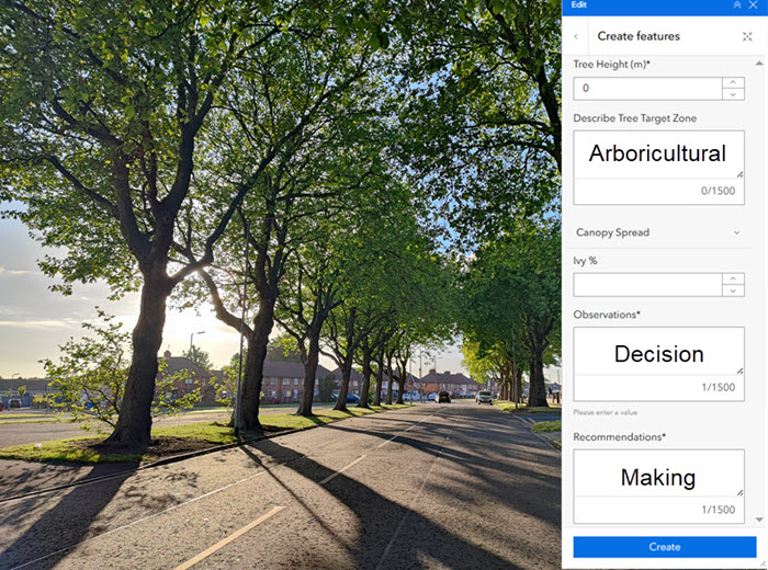 Arboricultural Decision Making