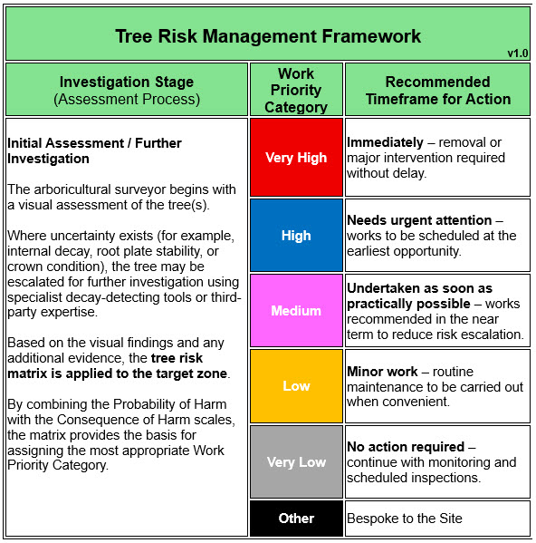 Tree Risk Framework - timeframe