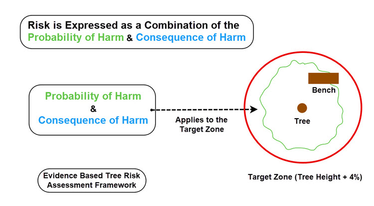 Tree Risk Framework