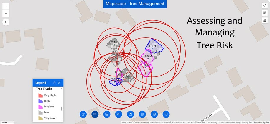 Assessing and Managing Tree Risk