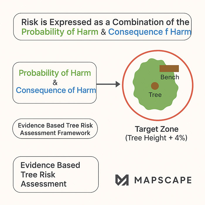 Tree Risk - Target Zone