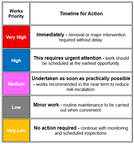 Timeline for Action Timeline for Action