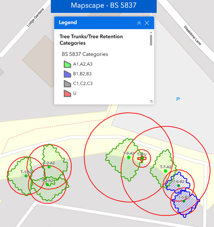 BS 5837 Tree Survey