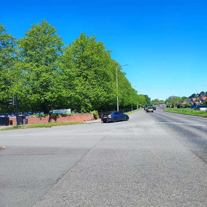 Avenue of Trees