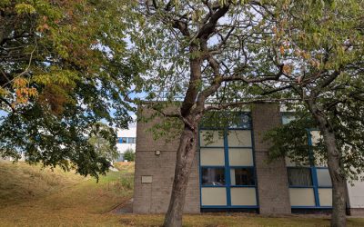 The University of Aberdeen