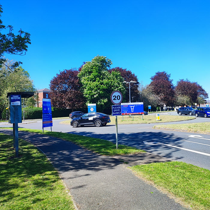 managing trees near entrance