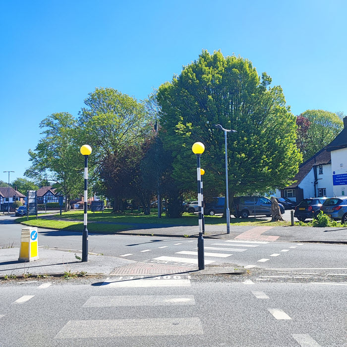 trees near pedestrian crossing
