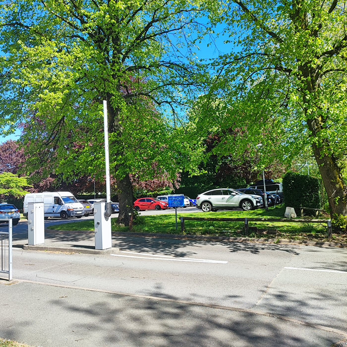 trees near turnstile