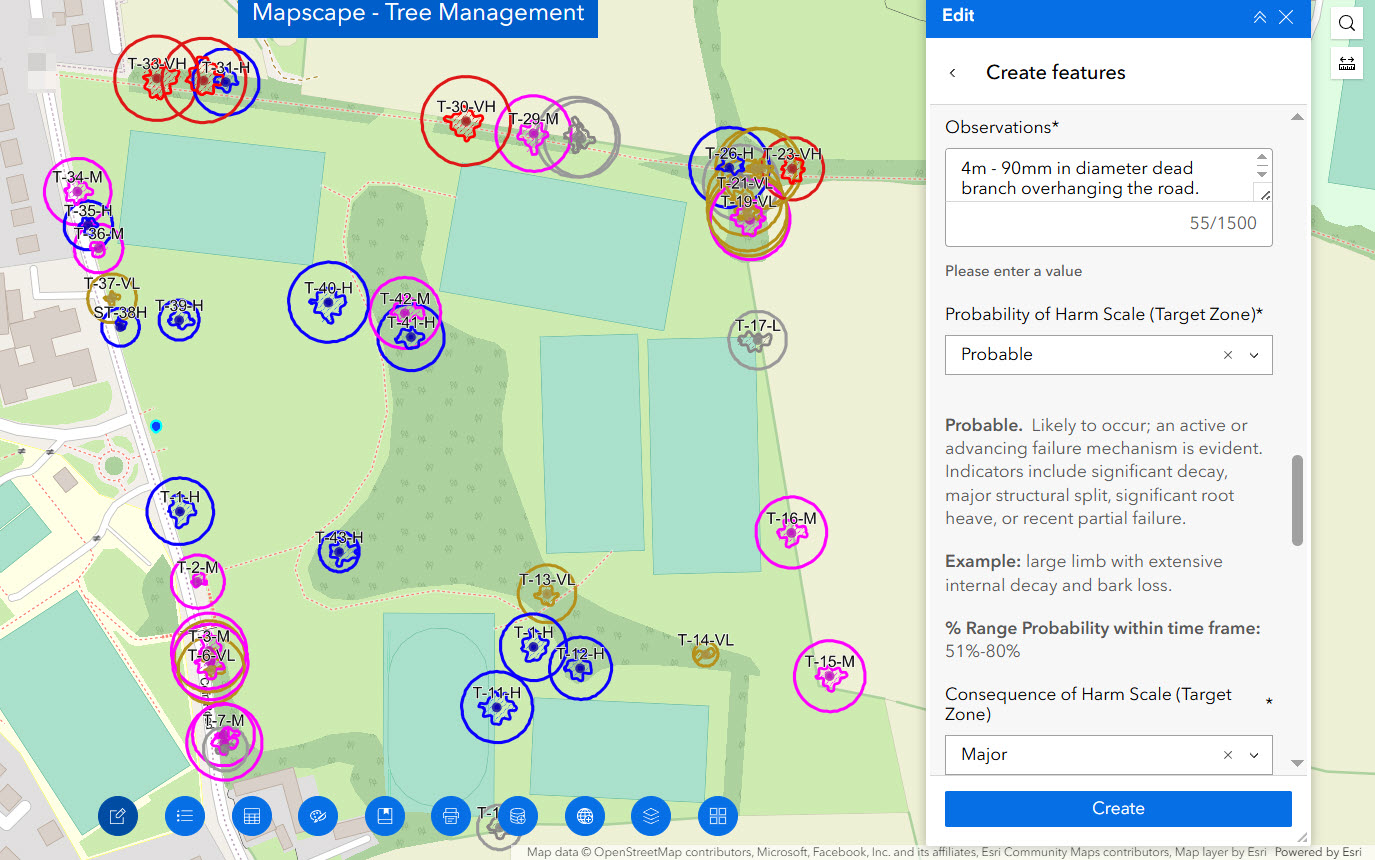 Tree Risk Management using Mapscape